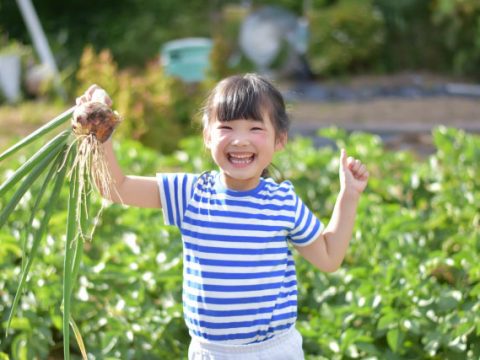 子供の仕事は遊び