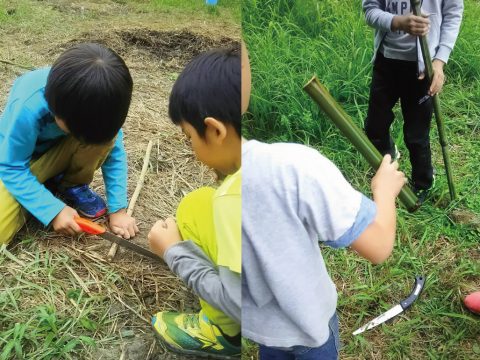 【9/21】「堆肥作り・間引き・種まき」と「落ち葉やドングリの採集」！