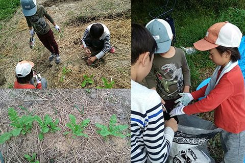 【9/28】「鉢伏山森づくりの会」の活動に参加！＆ネギ定植・堆肥作りなど♫