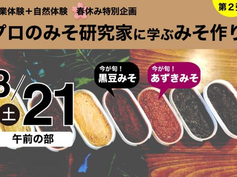 プロのみそ研究家に学ぶみそ作り